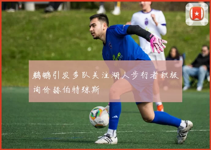 鹈鹕引发多队关注湖人步行者积极询价赫伯特琼斯