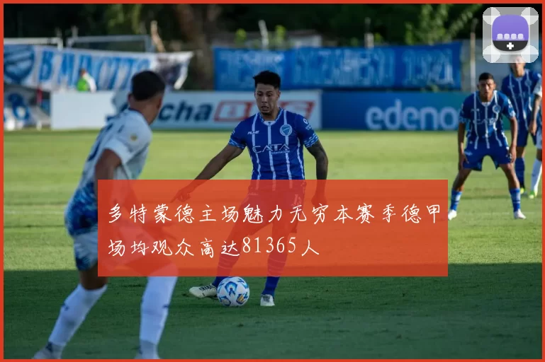 多特蒙德主场魅力无穷本赛季德甲场均观众高达81365人